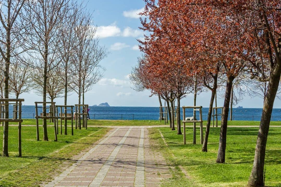 Picnic at Caddebostan Seaside